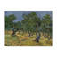 « olive verger midjune » par vincent van gogh, reproduction de peinture à l’huile sur toile tendue-35223198
