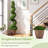 47 " H Faux Boxwood Topiary