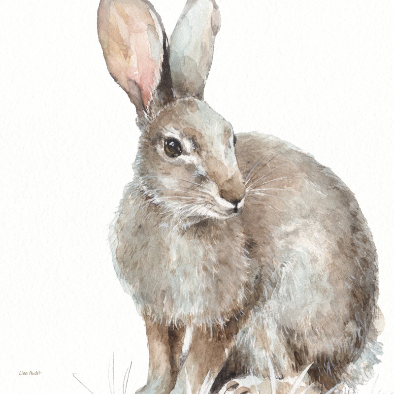 Forest Friends II by Lisa Audit - Wrapped Canvas Painting, 76cm H x 76cm W