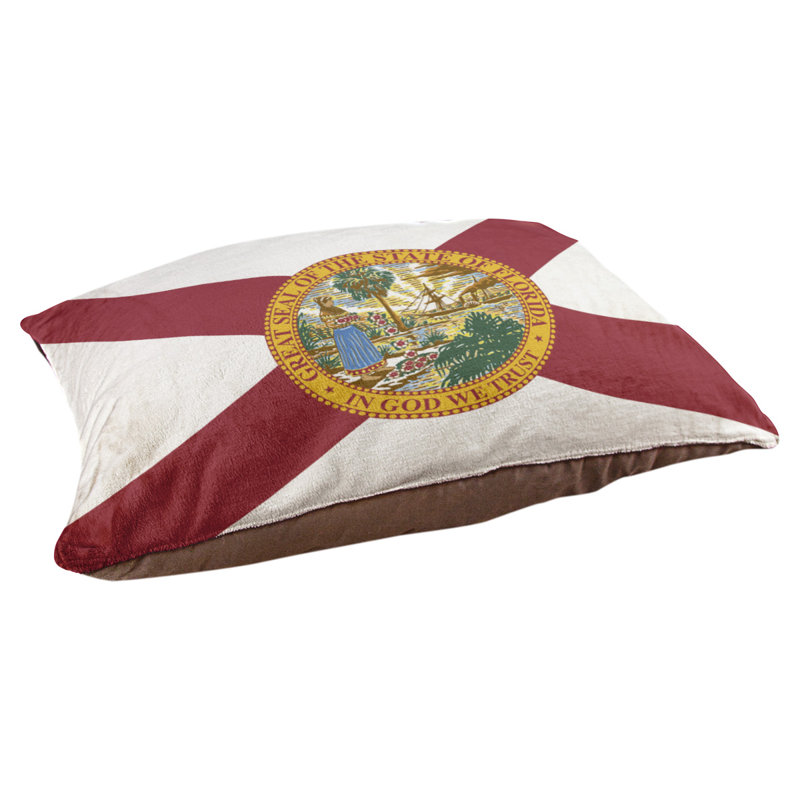 Coussin de concepteur à drapeau de floride Burien, Marron foncé, L 32,5 po x l 42,5 po