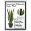28 po Plante artificielle serpent en pot