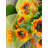 10.5'' Fabric Shatterproof Bow