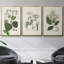 «Arctic Forest I», reproduction de photo sur toile 3 pièces-642904228-642904229