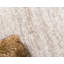 Dejourn Flatweave Area Rug-1857532019