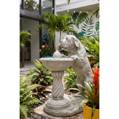 Quenching a Big Thirst Dog Sculptural Fountain