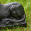 Statue de lion gardien MGO couché-311213129-311213128