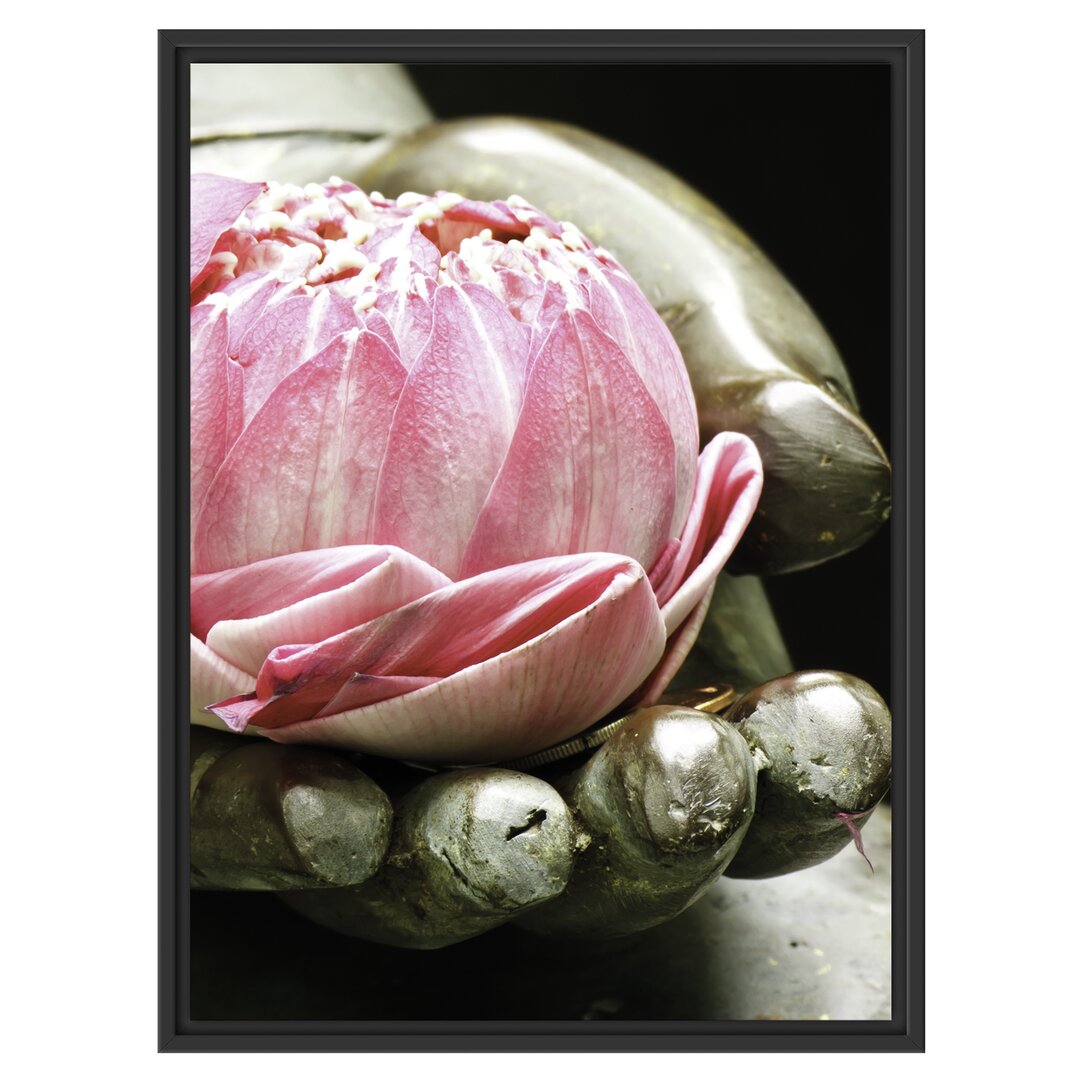 Gerahmtes Wandbild Lotus auf der Hand eines Buddhas