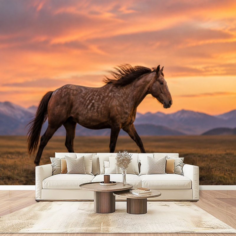 Papier peint mural autocollant « Cheval sauvage au coucher du soleil dans le désert » - Décoration murale moderne pour chambre ou salon - 254 cm (L) x 366 cm (l)