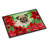 Non-Slip Outdoor Doormat-1457557065