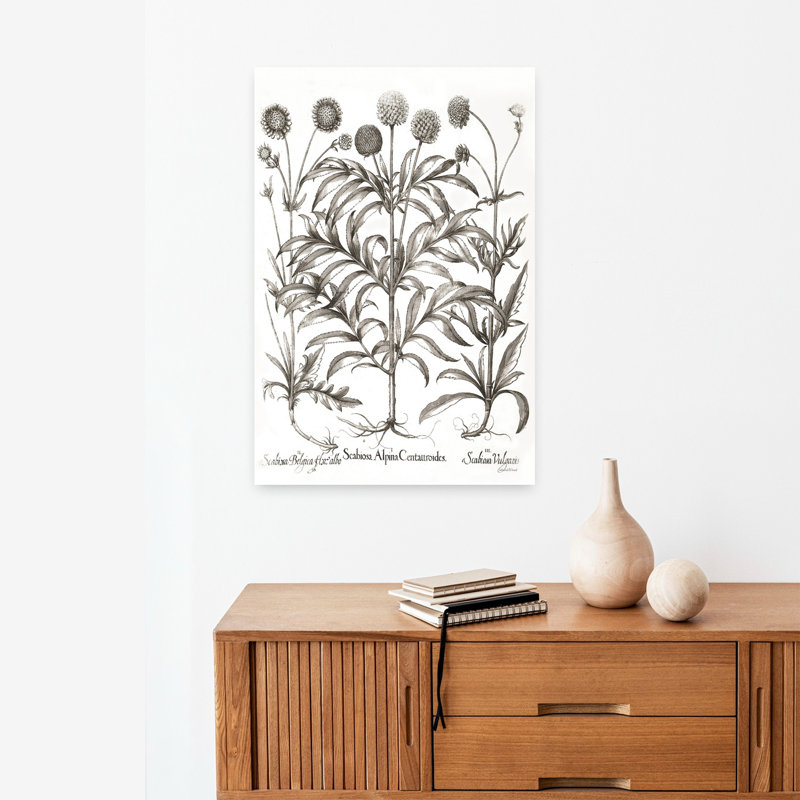Art floral contemporain Scabiosa, H 24 po x l 16 po