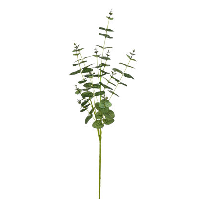 Orie Money Leaf Stems