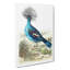 Crowned Pigeon by George Shaw - Wrapped Canvas Painting-55304507