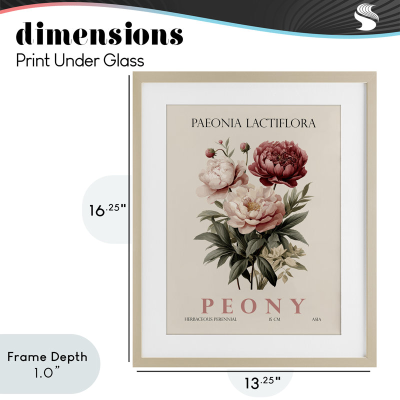 Ensemble de pivoines naturelles, reproduction encadrée sous verre, design par Christopher Giampietro, Cadre de récolte en pin