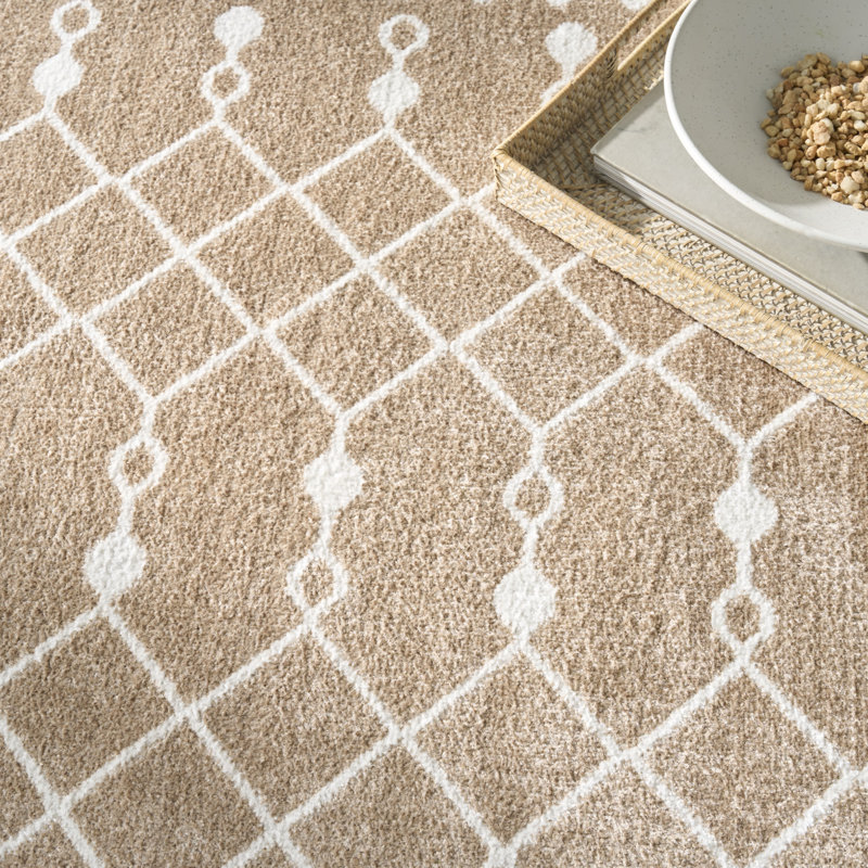Dakota Fields Burrillville Taupe Bohemian Machine Washable Indoor Rug, Rectangle 4' x 6'