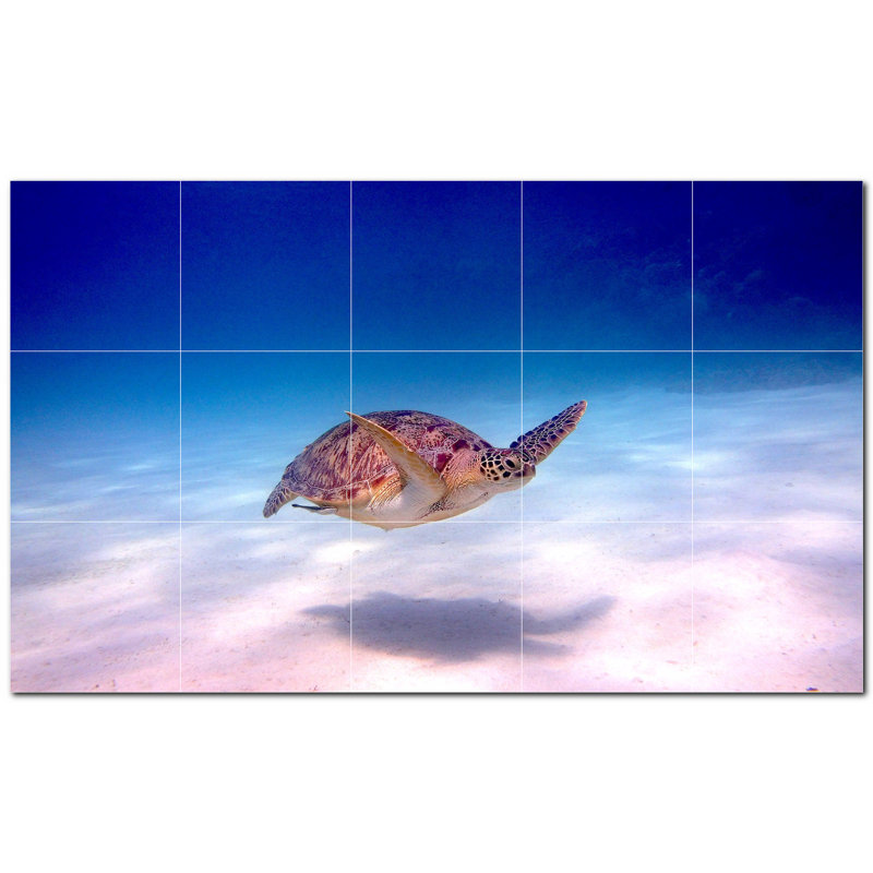 Turtle Photo 6'' x 6'' Satin Ceramic Decorative Mural