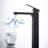 Blaze Single-handle Bathroom Faucet with Drain Assembly-63955664