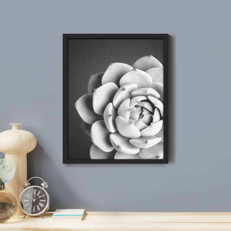 "Succulent cactus noir et blanc en fleurs" sur papier, Noir, H 14 po x l 11 po