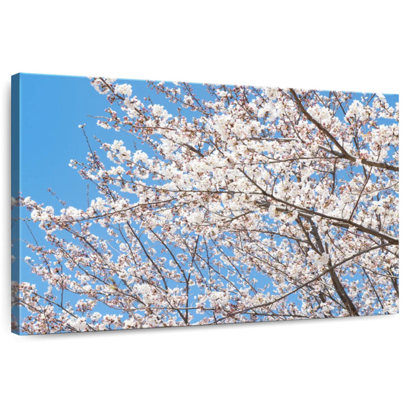 Harnek Japanese Cherry Blossom Tree, 32" H x 48" W