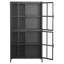 Armoire de rangement en métal avec portes en verre trempé