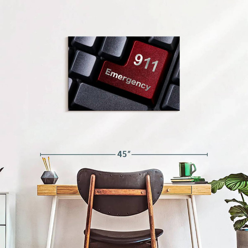 Alcaraz 911 Emergency, 20" H x 30" W