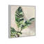 Jolies plantes I - Impression sur toile-77343988-77343989