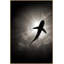 Calm Shark 2 Framed Canvas