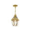 Lanterne suspendue d'extérieur 1 lumière H 10,75 po Alexavier-529880573