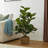Amee 41.25" H Faux Fiddle Leaf Fig Tree in Pot