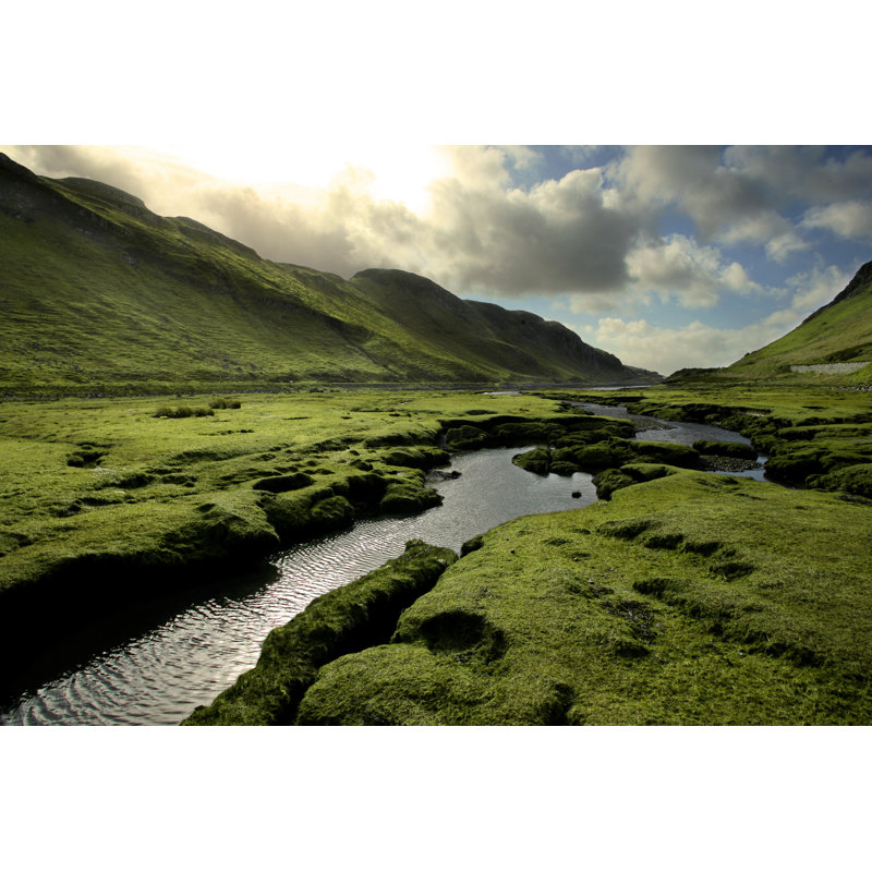 Printemps dans la vallée de l'Ecosse, L 12 po x H 8 po