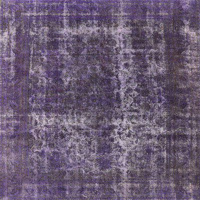 Hubbert Oriental Indoor Rug
