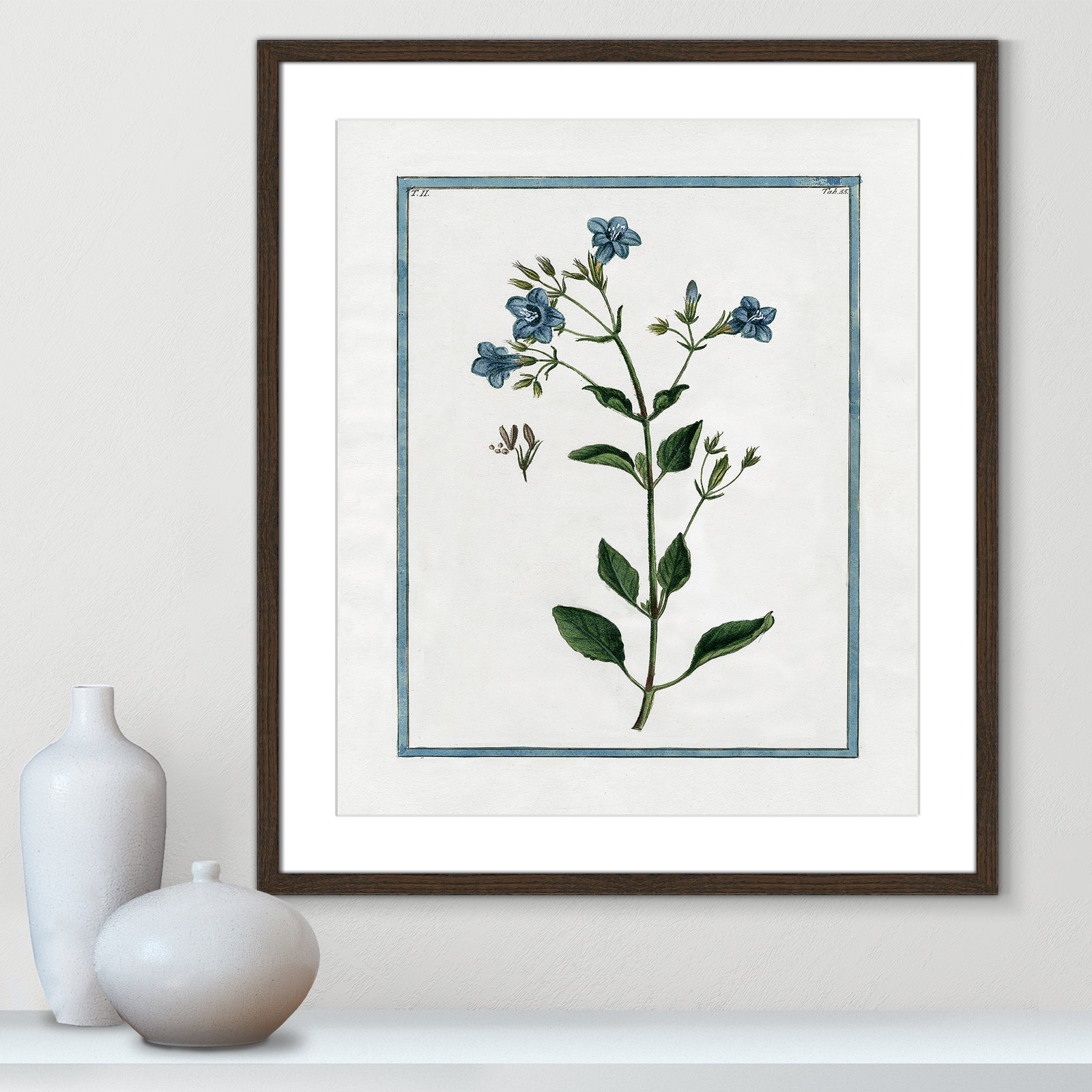 Shabby Elegance Botanical II - Framed Art, 21.5" W x 25.5" H, Walnut Framed