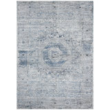 Oriental Area Rug in Blue