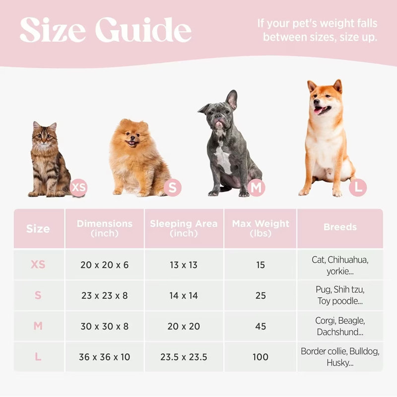 Lit pour chien Lesure Donut Lesure, M (H 8 po x l 30 po x P 30 po), Taffy Rosewater