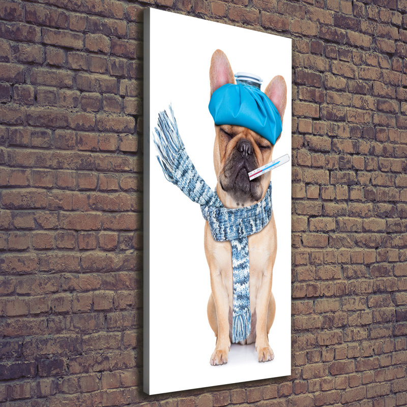 Ill Dog - Wrapped Canvas Print