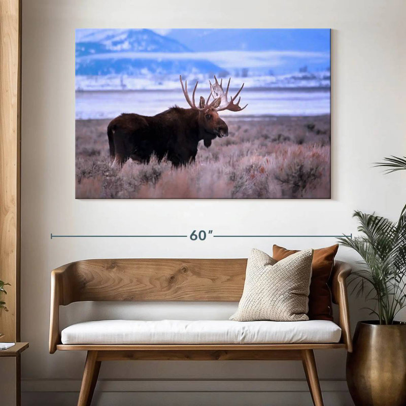 Brampt Teton Bull Moose