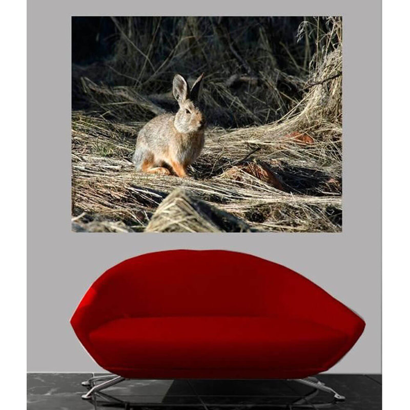 Adhésif décoratif Batie, H 19 po x l 24 po