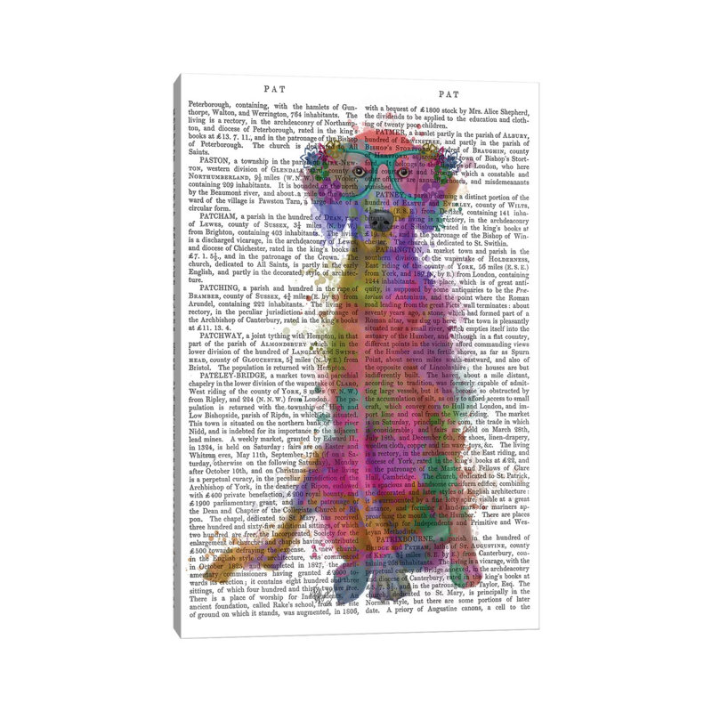 Rainbow Splash Weimaraner, Full, Print BG by Fab Funky - Wrapped Canvas Gallery-Wrapped Canvas Giclée, 30.48cm H x 20.32cm W