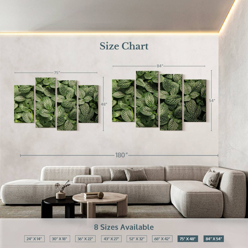 Harnek Green Nerve Plant, 54" H x 84" W