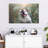 Brampt Nature Dog-107845344