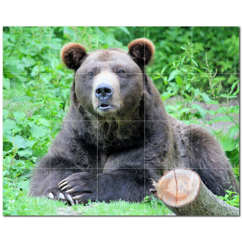 Murale en céramique satinée Bear Photo 8 po x 8 po