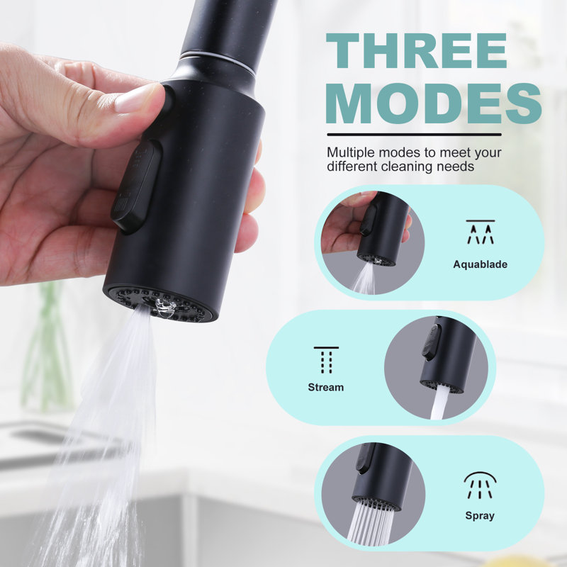 Matte Black 3-Function Kitchen Faucet Spray Head with 9 Adapters