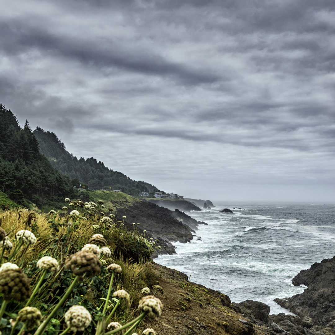 Oregon Coast von Alpamayo - Kunstdrucke auf Leinwand