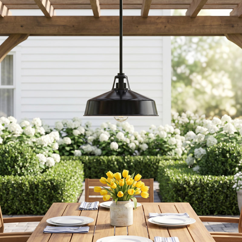 Wrightia Ciana 1 -Bulb 7.5" H Outdoor Pendant, Black