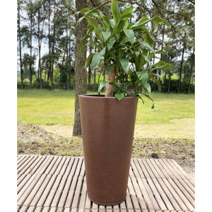 Pot à fleurs en résine Genebra