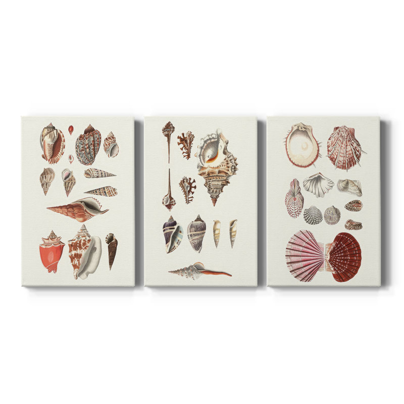 Shell Collection IV - Toile tendue avec châssis sur mesure - 3 pièces, H 27 po x l 54 po