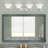 Aquala 4 - Light Dimmable Vanity Light-20317199