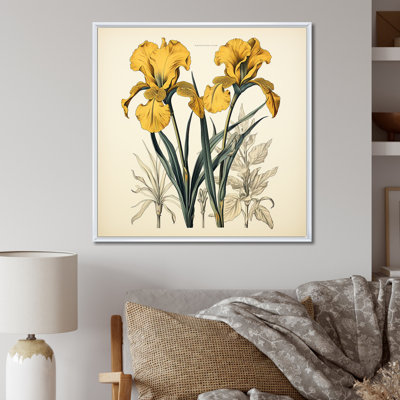 Illustration rétro, iris dorés sur toile