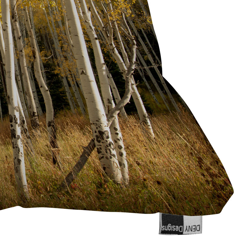 Coussin Aspen, 20 po x 20 po