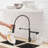 Fapully Pull Down Kitchen Faucet-61611594