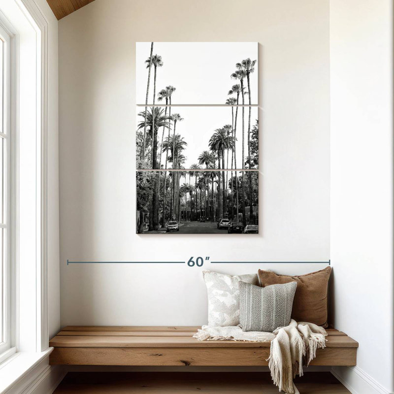 Palmiers Masam - Californie - Los Angeles, H 45 po x l 28 po